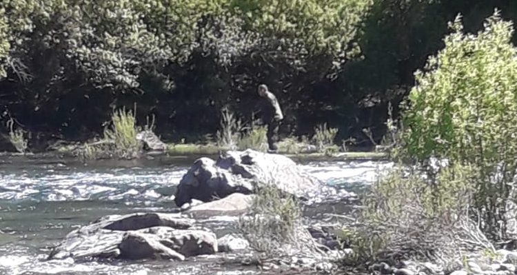 Descartan que niño desaparecido en Liquiñe se encuentre en tierra