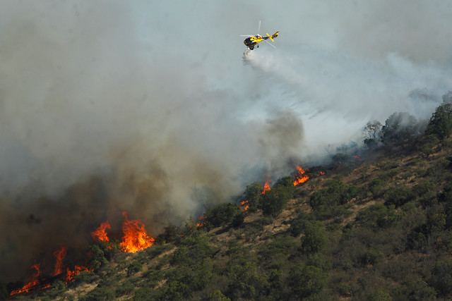 Más de 200 hectáreas ha consumido incendio forestal “Lo Vásquez”