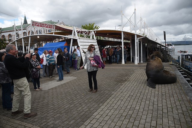 Valdivia es la mejor ciudad de Chile para vivir, luego Viña del Mar y La Serena