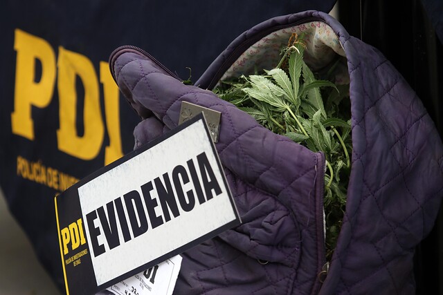 Familia dedicada a la venta de drogas en detenida en Quilpué