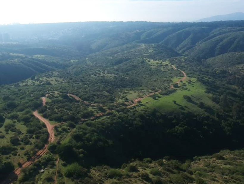 Reñaca: buscan hacer que el estero sea declarado Santuario de la Naturaleza