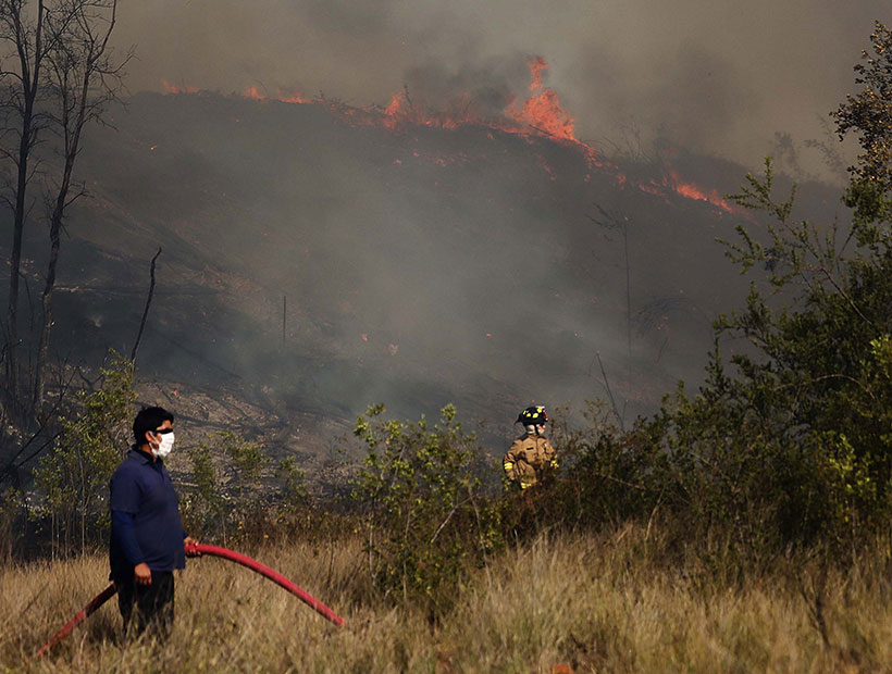 Valparaíso: 35 hectáreas fueron consumidas por un incendio