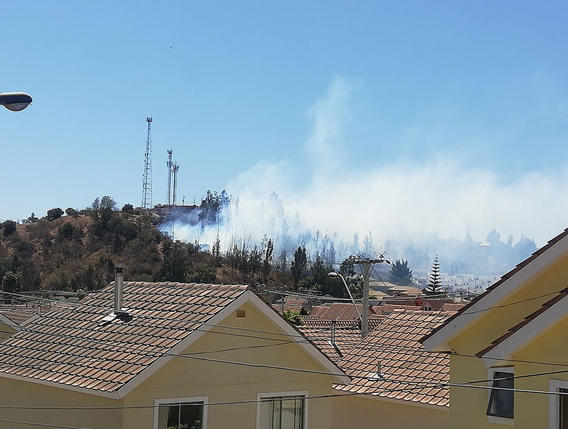 Peñablanca: Incendio afectó al sector El Carmen