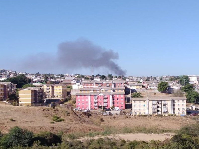 Viña del Mar: Incendio afectó a vivienda en el sector Achupallas