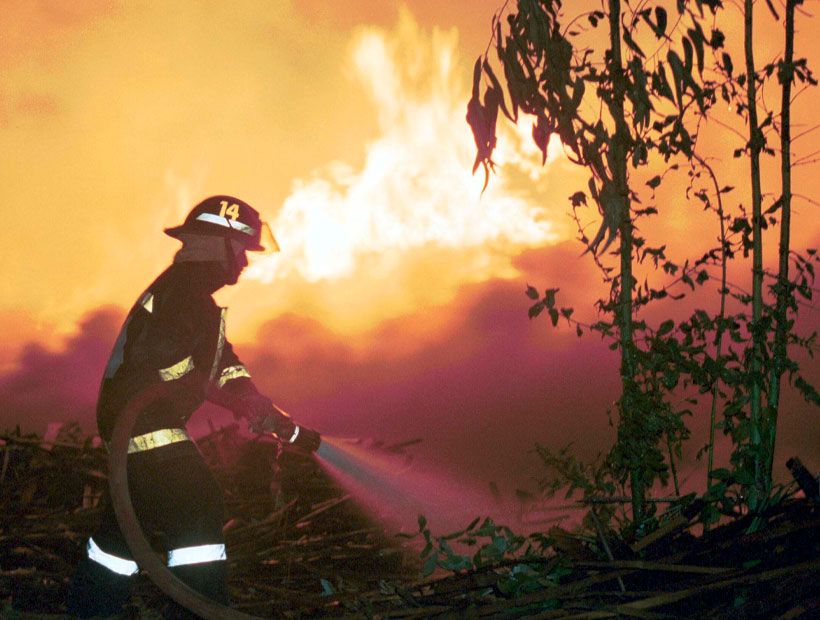 Valparaíso: se habría reactivado incendio en Laguna Verde