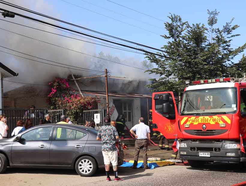 Concón: Dos gatos murieron en un incendio que afectó a una clínica veterinaria