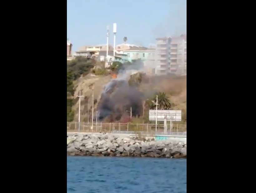 Valparaíso: Bomberos combatieron incendio de pastizal en avenida España