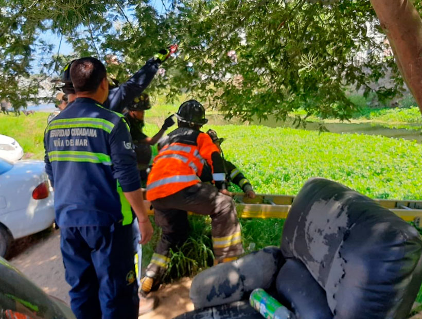 Viña del Mar: Rescatan a persona que estaba dentro del estero Marga Marga