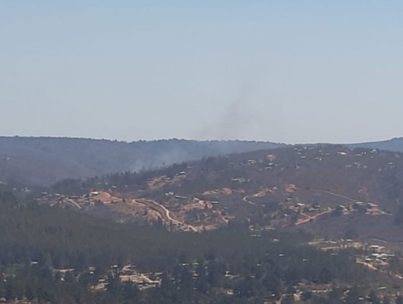 En Valparaíso un incendio forestal amenazó sector de Laguna Verde