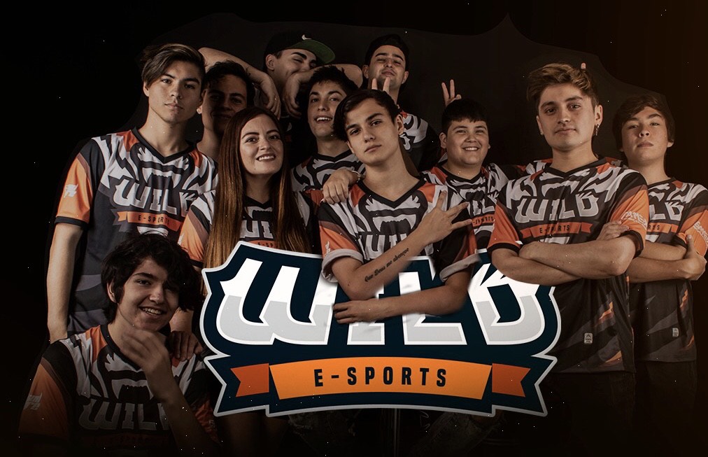 Wild: el equipo chileno de Esports que sigue creciendo pese al COVID-19