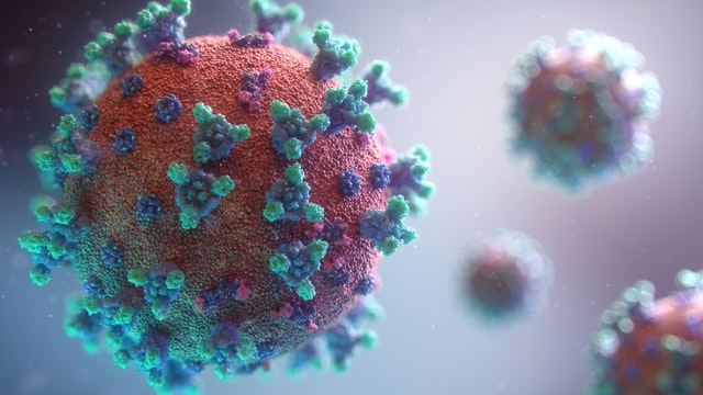 33 casos nuevos de coronavirus se registraron en la V Región durante esta nueva jornada
