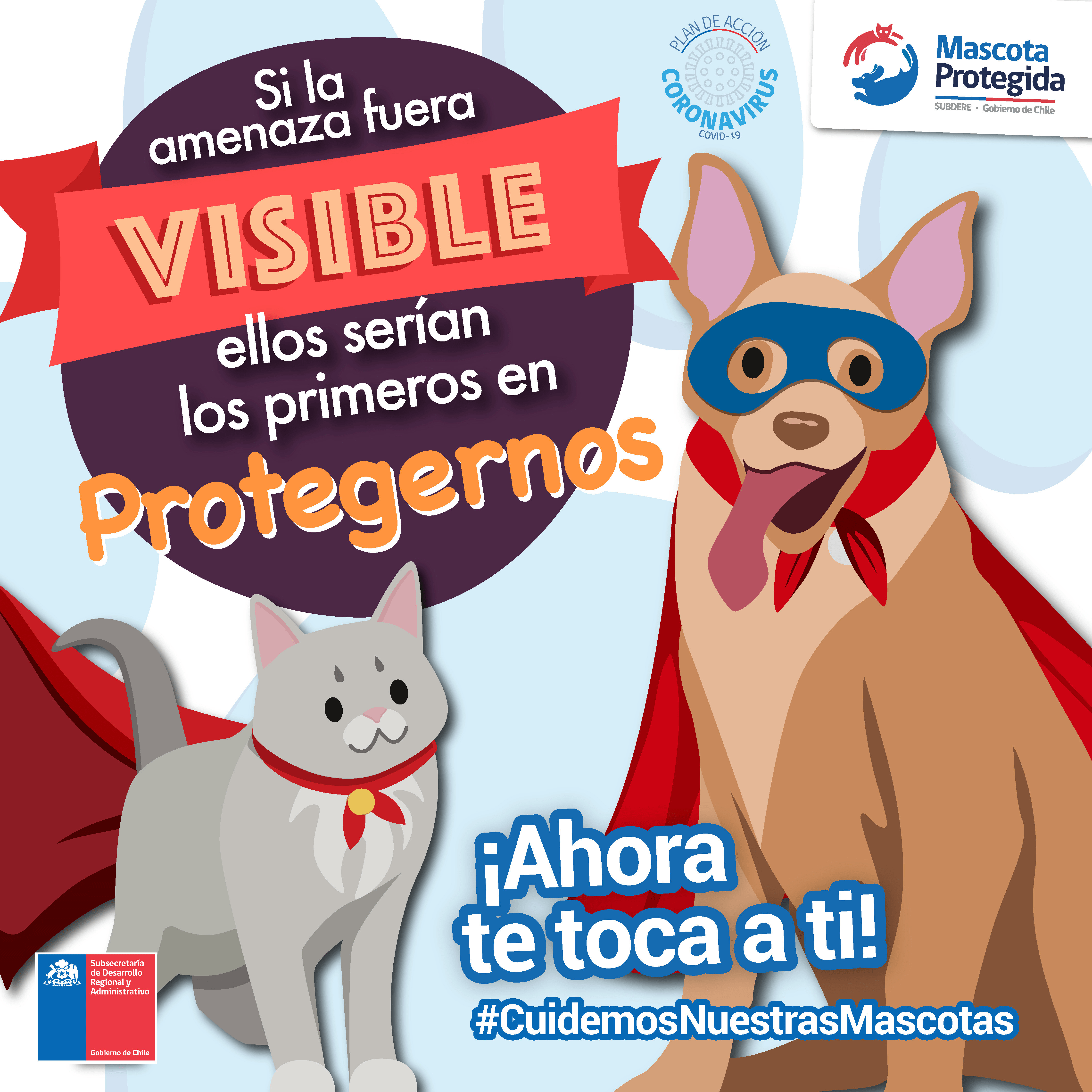 Gobierno lanza campaña para prevenir el abandono de mascotas por Covid-19