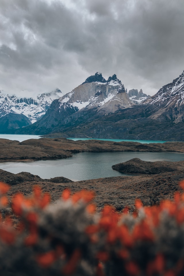 CONAF estudia reapertura gradual de los parques nacionales Para esta medida, la Corporación Nacional Forestal cuenta con protocolo de prevención ante el COVID-19 para proteger a los visitantes y a los guardaparques