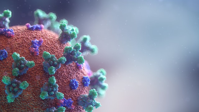 Ministerio de Ciencia y ANID apoyarán 63 proyectos de investigación sobre el Coronavirus en Chile