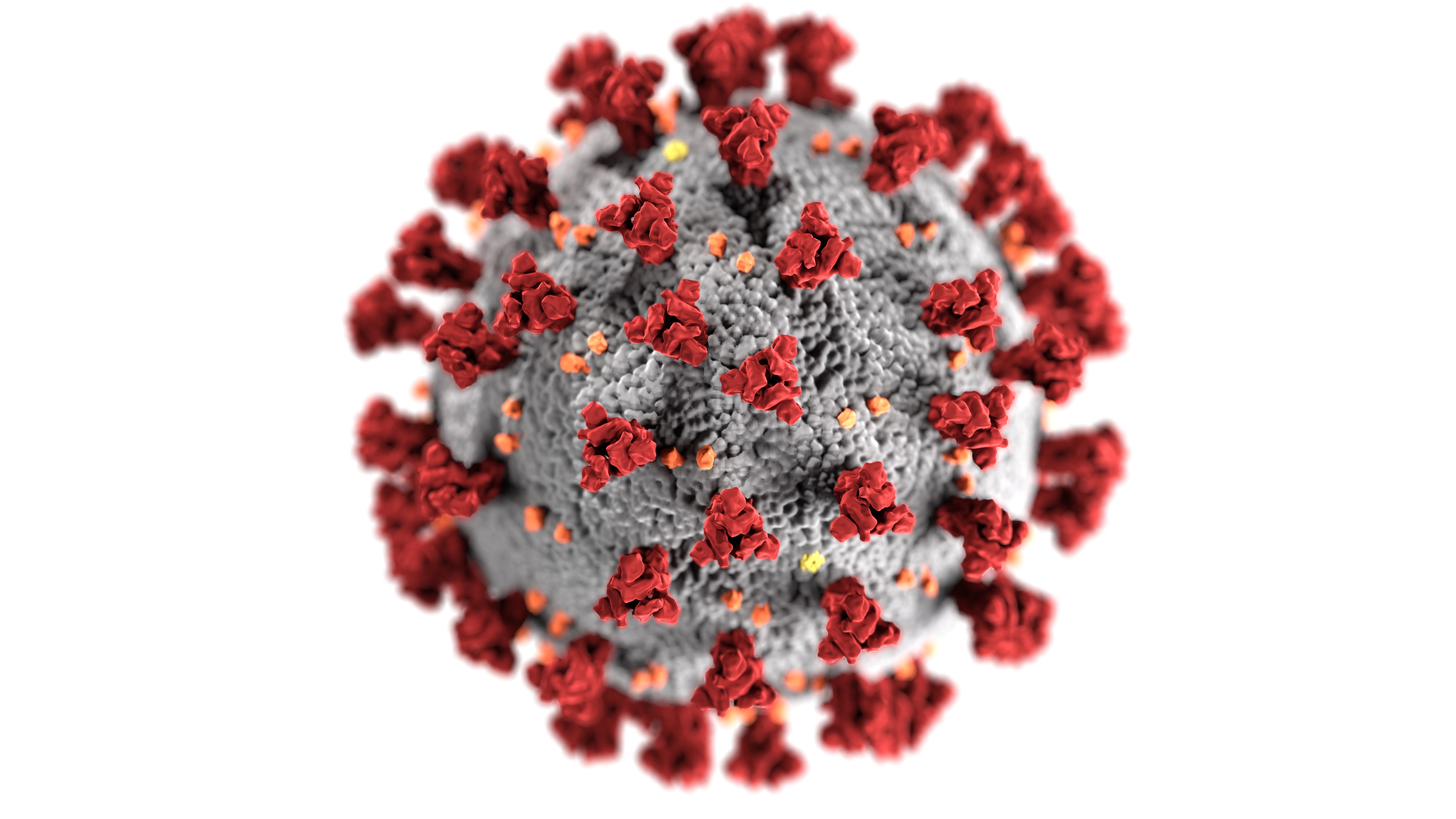 La advertencia de Malasia: nueva cepa de coronavirus es 10 veces más infecciosa