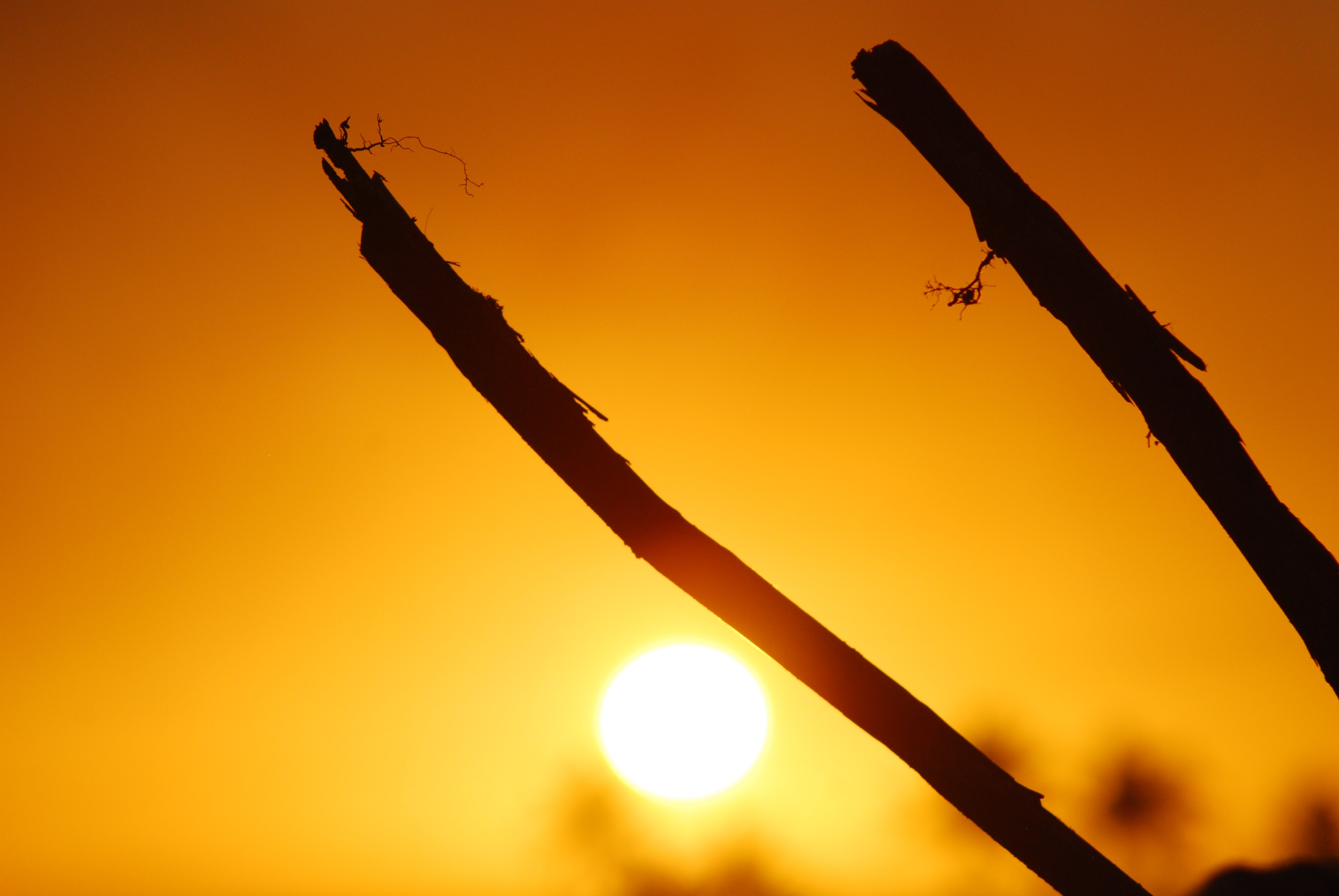 Registran 54,4 grados en pleno Valle de la Muerte en California: una de las temperaturas más altas de la historia