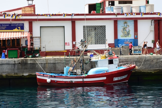 Puerto de San Antonio licita todos sus frentes de atraque tras concesión con empresa