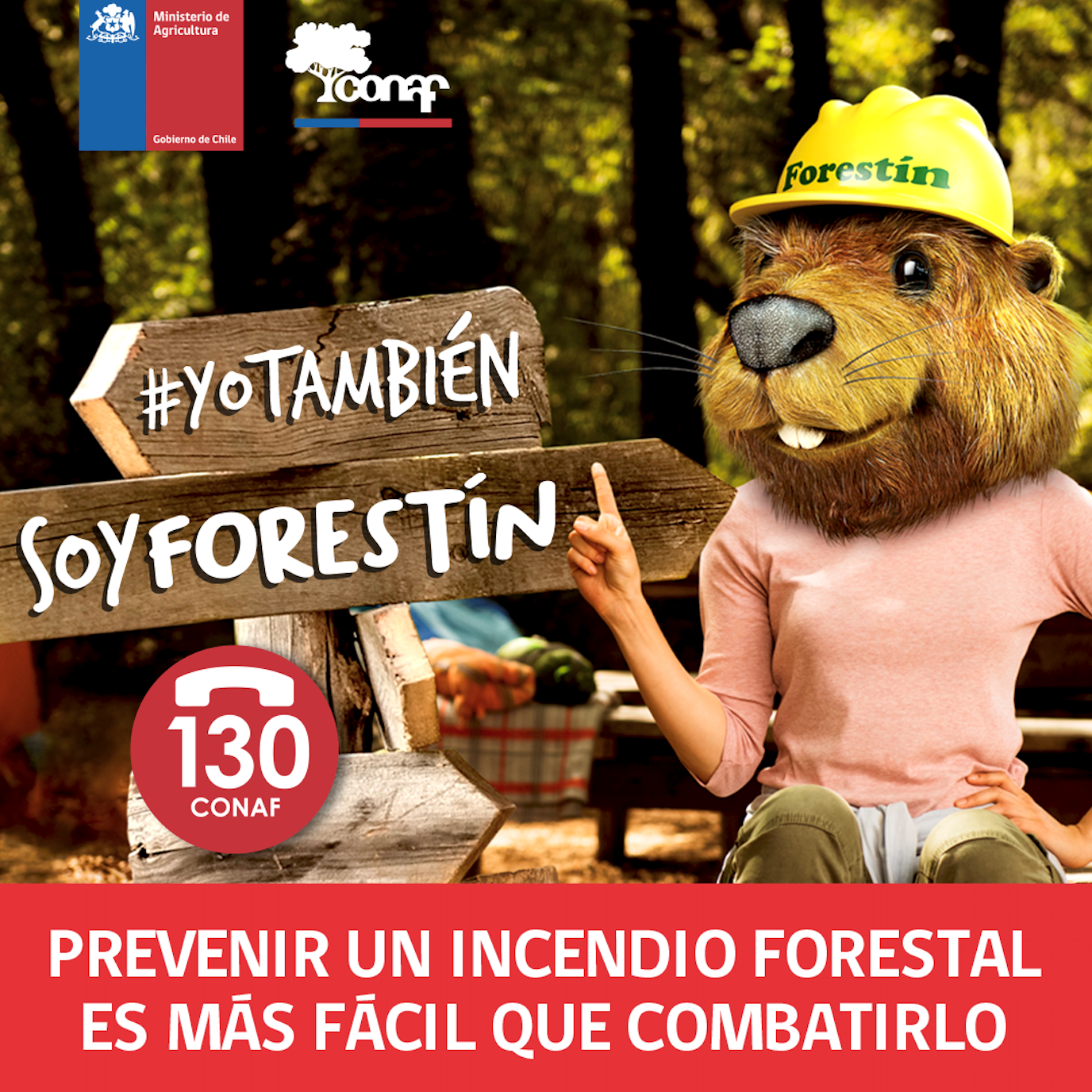 Yo también soy Forestín: campaña de prevención de incendios forestales 2020
