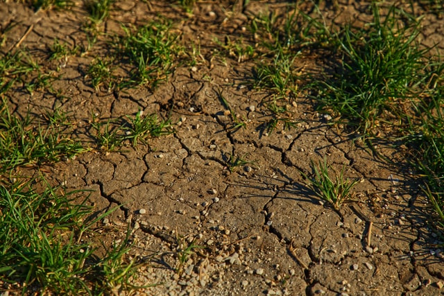 Sequía en Valparaíso: Lago Peñuelas ni siquiera tiene el 0,05% de su capacidad tras lluvias
