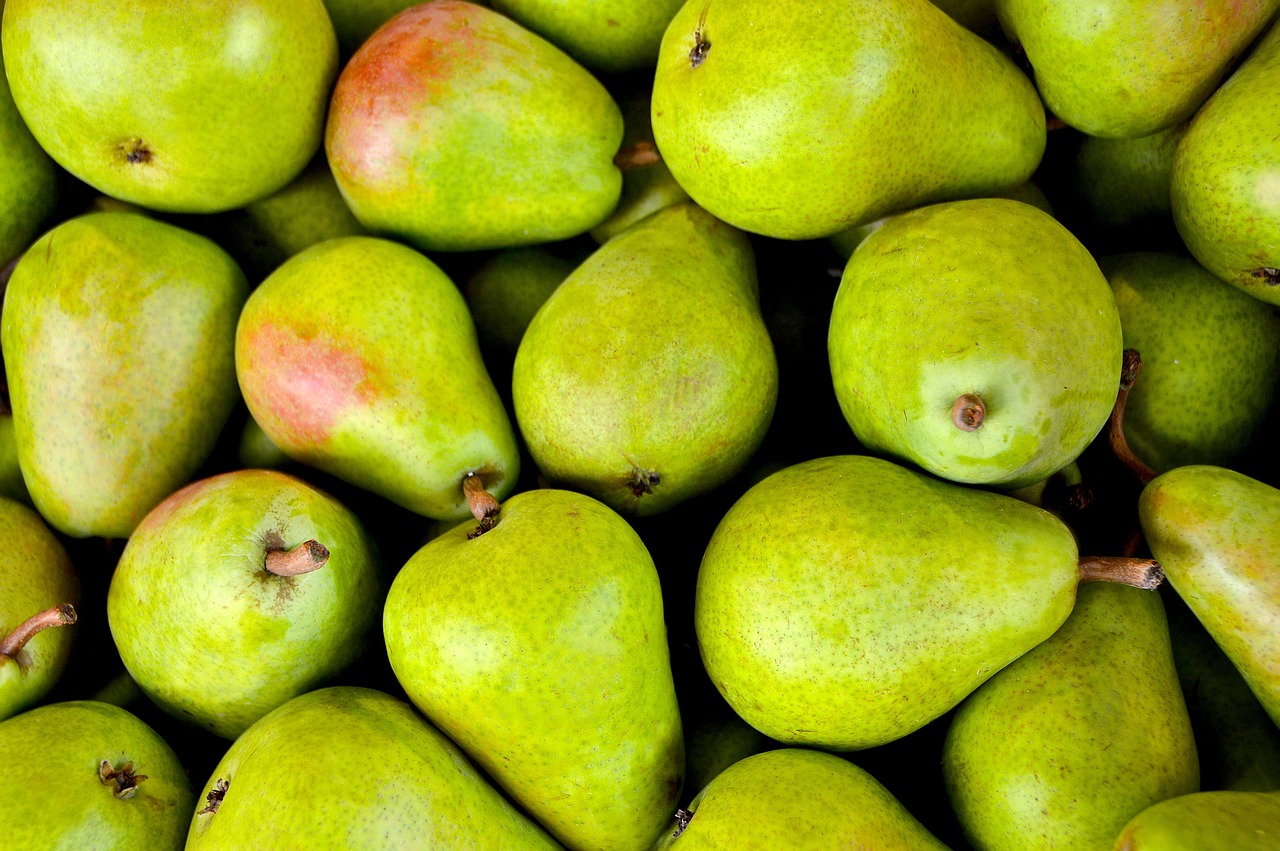Exportadores de frutas advierten que paro de camioneros puede detener la cosecha