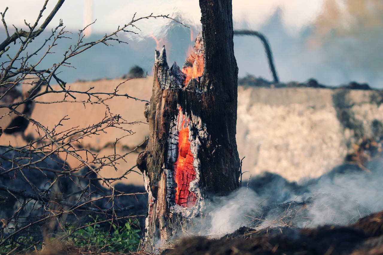 Se confirma comité de reconstrucción: Presidente Boric anuncia medidas de apoyo a las personas damnificadas en incendios de Valparaíso