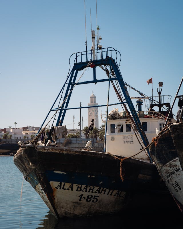 Puerto de Valparaíso proyecta crecimiento en exportaciones