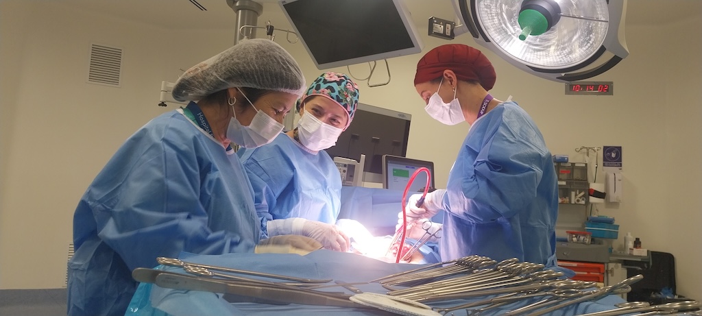 Hospital Biprovincial reduce Listas de Espera gracias a recursos extraordinarios llegados desde Minsal
