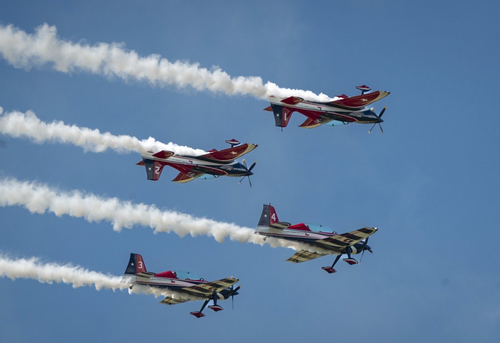 Halcones de la Fach deslumbrarán en los cielos de la región de Valparaíso
