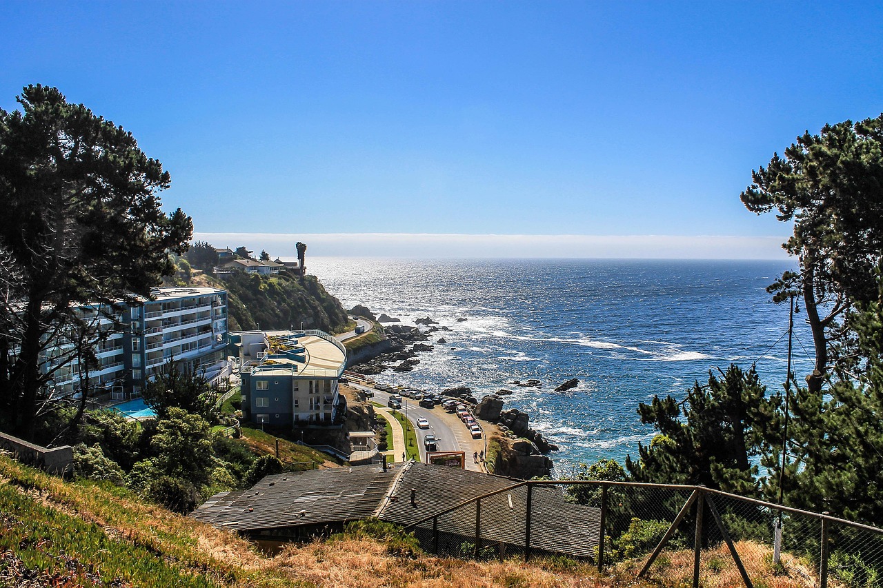 Éxito total en la Ciudad Jardín: Más de 10 mil pasajeros han recorrido Viña del Mar en bus eléctrico gratuito